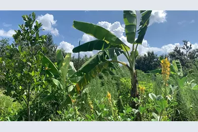 0 Sink Hole Road, Bartow, FL 33830 - Photo 14