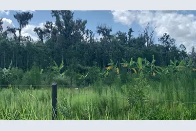 0 Sink Hole Road, Bartow, FL 33830 - Photo 6