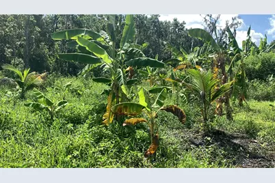 0 Sink Hole Road, Bartow, FL 33830 - Photo 22