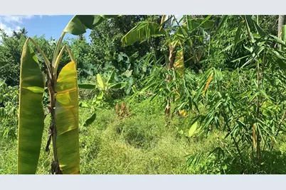 0 Sink Hole Road, Bartow, FL 33830 - Photo 12