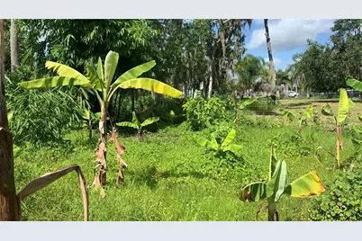0 Sink Hole Road, Bartow, FL 33830 - Photo 10