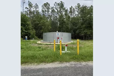 7431 SE 170th Avenue Road, Ocklawaha, FL 32179 - Photo 64