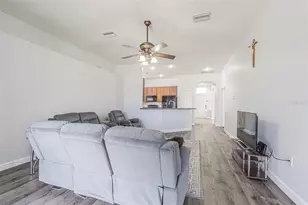 11345 Flora Springs Dr, Riverview, FL 33579 - Photo 20
