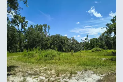 Willie White Lane, Plant City, FL 33567 - Photo 4