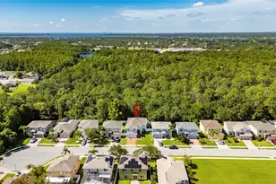 382 Rosalind Ln, Oldsmar, FL 34677 - Photo 64