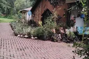 7323 Ray Browning Rd, Brooksville, FL 34601 - Photo 44