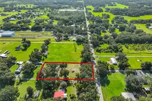 5410 Thonotosassa Rd, Plant City, FL 33565 - Photo 16