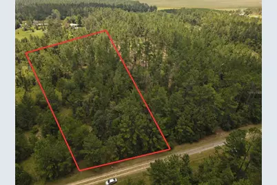 Ne Dixon Court, Lee, FL 32059 - Photo 4