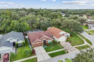 2617 Pegasus Ct, Brandon, FL 33511 - Photo 62