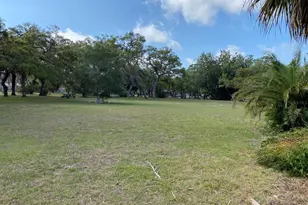 508 Ulelah Ave, Palm Harbor, FL 34683 - Photo 8