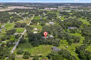 4405 N Wilder Rd, Plant City, FL 33565 - Photo 78