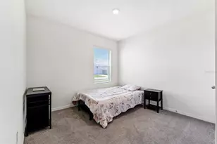 34211 Jasper Stone Dr, Wesley Chapel, FL 33543 - Photo 22