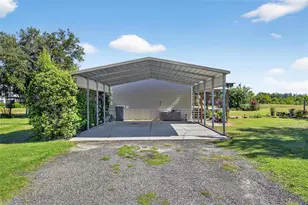 4416 Pippin Rd, Plant City, FL 33567 - Photo 4