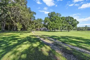 2830 NE 180th Ave, Williston, FL 32696 - Photo 38