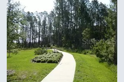 10043 Campanula Court, Land O Lakes, FL 34637 - Photo 20