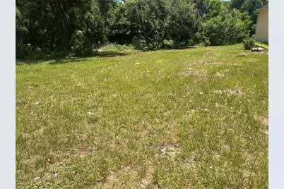 1904-1906 W Busch Boulevard, Tampa, FL 33612 - Photo 4