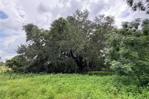 6177 Cr 625, Bushnell, FL 33513 - Photo 78
