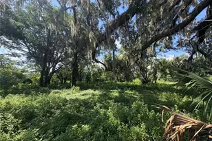 6177 Cr 625, Bushnell, FL 33513 - Photo 84