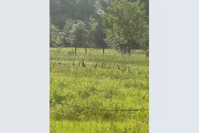 6177 Cr 625, Bushnell, FL 33513 - Photo 94