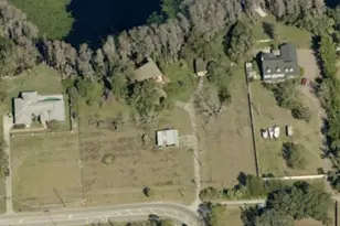 503 W Lutz Lake Fern Rd, Lutz, FL 33548 - Photo 2