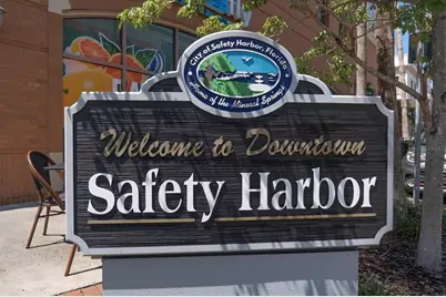 3107 Oyster Bayou Way, Clearwater, FL 33759 - Photo 34