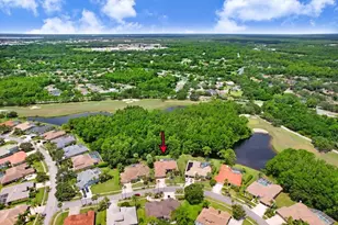 12029 Brewster Dr, Tampa, FL 33626 - Photo 50