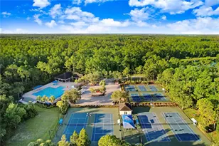 12029 Brewster Dr, Tampa, FL 33626 - Photo 60