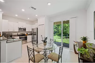 17399 Nectar Flume Drive, Land O Lakes, FL 34638 - Photo 8