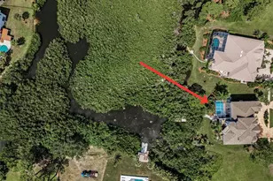 2103 N Pointe Alexis Dr, Tarpon Springs, FL 34689 - Photo 68