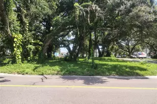 113 E Robertson St, Brandon, FL 33511 - Photo 1