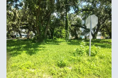 113 E Robertson Street, Brandon, FL 33511 - Photo 6