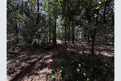 Sw 54th Street, Dunnellon, FL 34431 - Photo 8