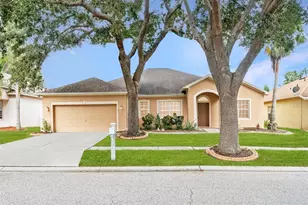 10903 Wildcat Dr, Riverview, FL 33579 - Photo 1