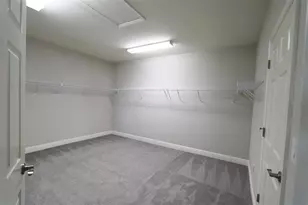 11978 Climbing Fern Ave, Riverview, FL 33579 - Photo 34