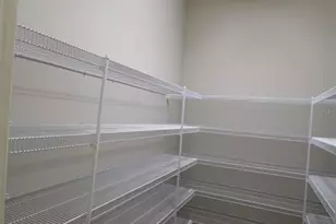 11978 Climbing Fern Ave, Riverview, FL 33579 - Photo 46