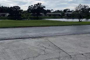 3117 Mission Grove Dr, Palm Harbor, FL 34684 - Photo 24