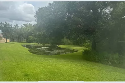 19129 Lake Audubon Drive, Tampa, FL 33647 - Photo 2