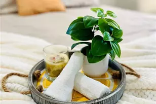 10341 Kumquat Ln, Seminole, FL 33772 - Photo 6