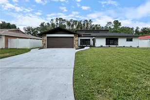 4545 Debbie Ln, Lutz, FL 33559 - Photo 1