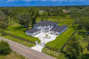 2202 Newberger Rd, Lutz, FL 33549 - Photo 4