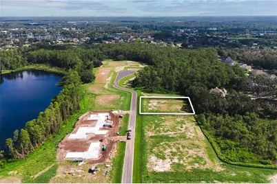 19319 Dimple Drive, Odessa, FL 33556 - Photo 8