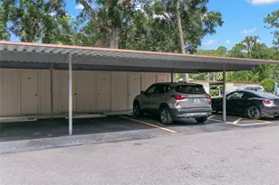 3399 Mermoor Dr, Palm Harbor, FL 34685 - Photo 26