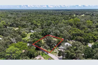 35328 Reynolds Street, Dade City, FL 33523 - Photo 12