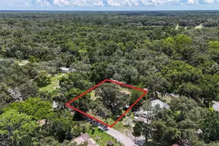 35328 Reynolds St, Dade City, FL 33523 - Photo 12