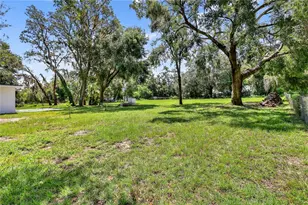 32524 Greenwood Loop, Wesley Chapel, FL 33545 - Photo 8