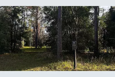 35501 Pinegate Trail, Eustis, FL 32736 - Photo 12