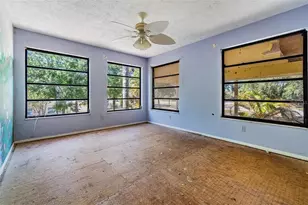2620 Trent Rd, Palm Harbor, FL 34684 - Photo 12