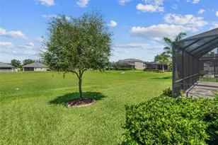 1010 Better Days Pl, Valrico, FL 33594 - Photo 48