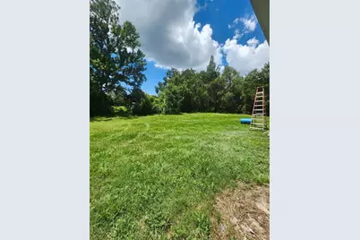 23334 Brandy Road, Land O Lakes, FL 34639 - Photo 12