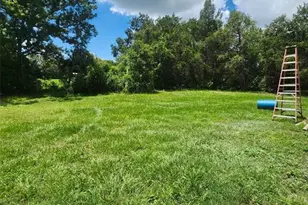 23334 Brandy Rd, Land O Lakes, FL 34639 - Photo 12